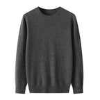 Extrafine Merino Wool Round Neck Sweater for Men | Spring Layering